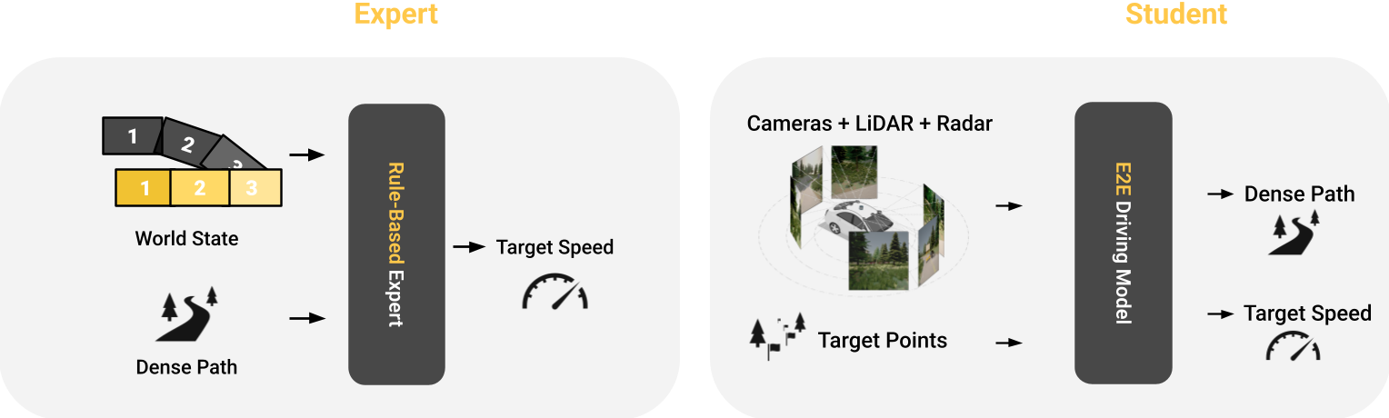 Side-by-side diagram. Left: the rule-based privileged expert reads the true world state and a dense path and outputs a target speed. Right: the TransFuser v6 student encodes cameras, LiDAR, and radar through a perception encoder into sensor tokens, and target points through a separate encoder into target point tokens; a motion planning decoder reads both, driven by learnable queries, and predicts a dense path and a target speed.